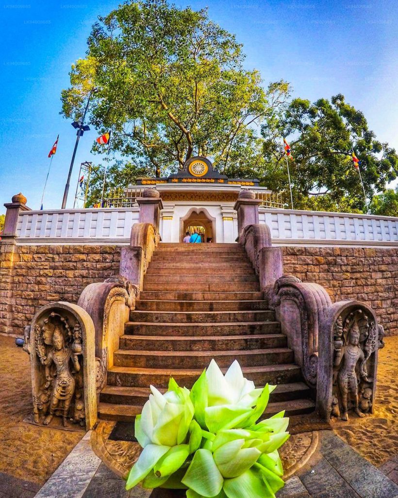 Anuradhapura