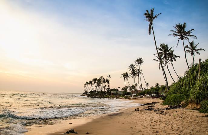 Chilaw