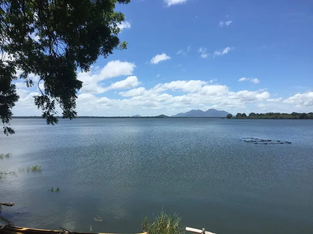 Kaudulla