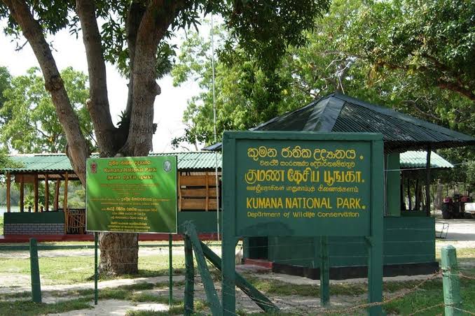 Kumana