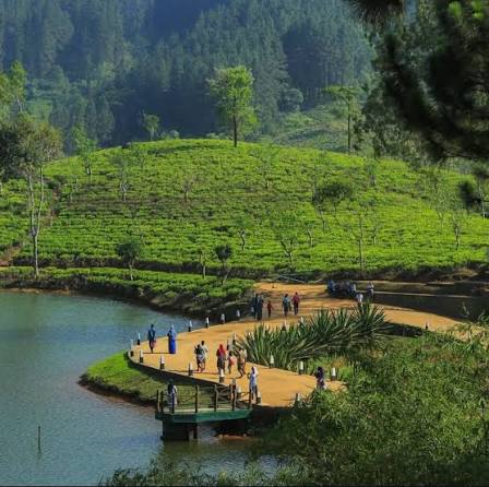 Matale