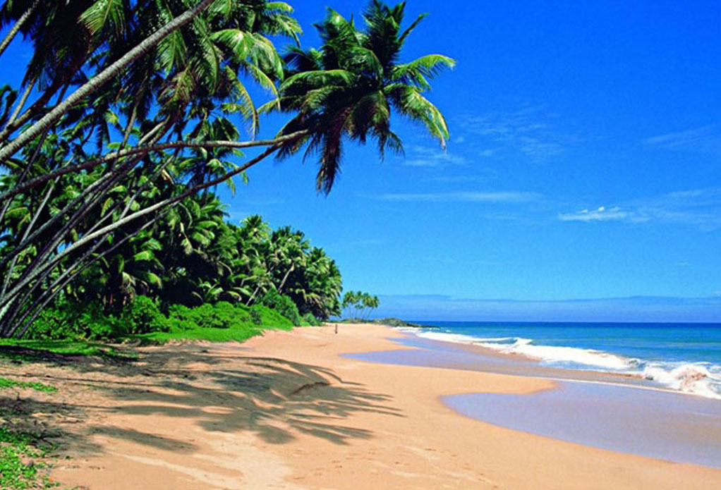 Wadduwa
